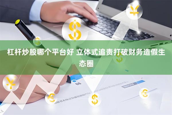 杠杆炒股哪个平台好 立体式追责打破财务造假生态圈