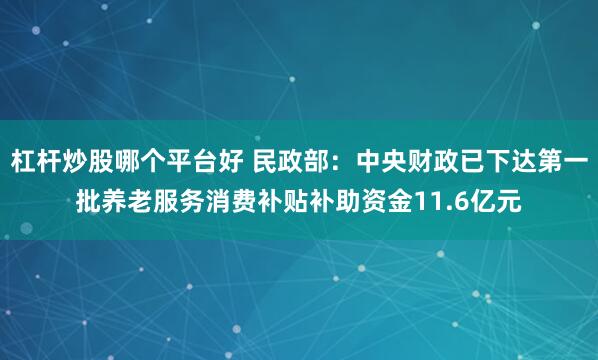 杠杆炒股哪个平台好 民政部：中央财政已下达第一批养老服务消费补贴补助资金11.6亿元