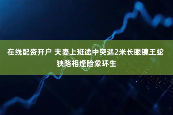 在线配资开户 夫妻上班途中突遇2米长眼镜王蛇 狭路相逢险象环生